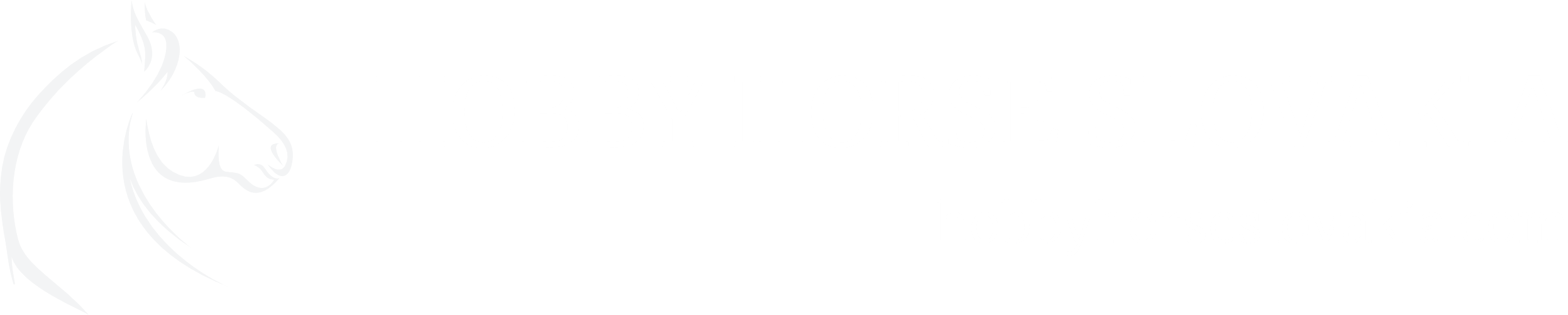 Logo Hobby horse Slovakia white