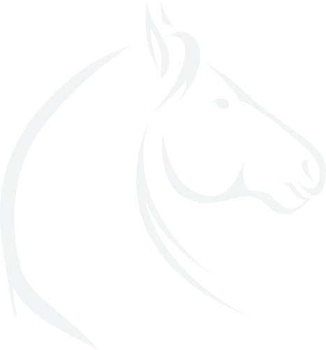 Logo Hobby horse Slovakia biele