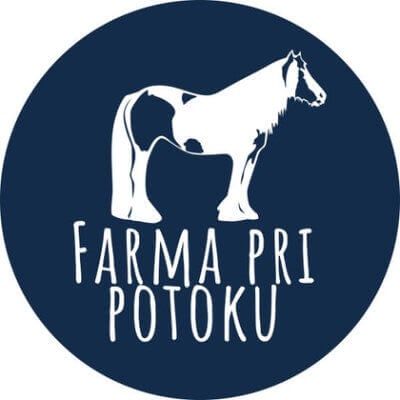 logo-farm-by-stream